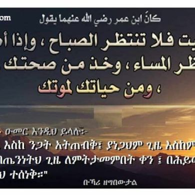 mubarek nur Profile Picture