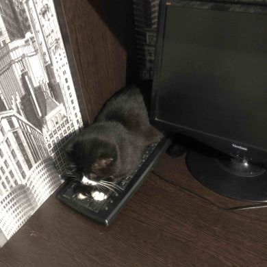 Руслан Абдусаламов Profile Picture