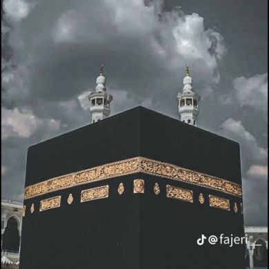 yehya jbril Profile Picture