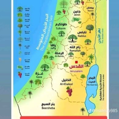 Mohammed Teshome Profile Picture