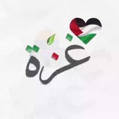 Nefisa Abdelhadi Profile Picture