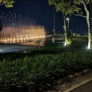 seid Ahmed Profile Picture