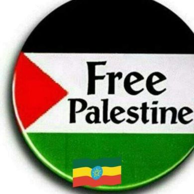 Zeyneb Bint Ebrahim profile picture