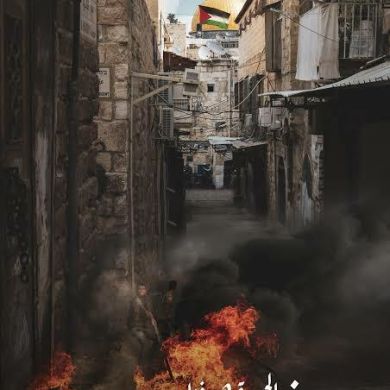 mahmoud sharaf Profile Picture