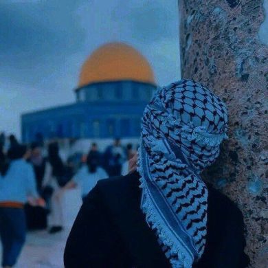 amira M Profile Picture