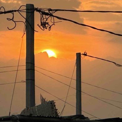 Mohammed Siraj Profile Picture