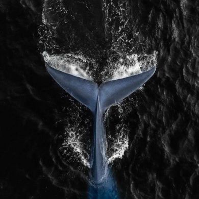 Sam Sepiol Profile Picture