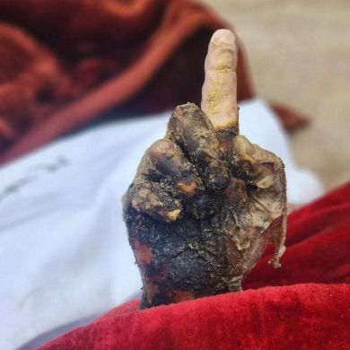 muhammadkurdi Profile Picture