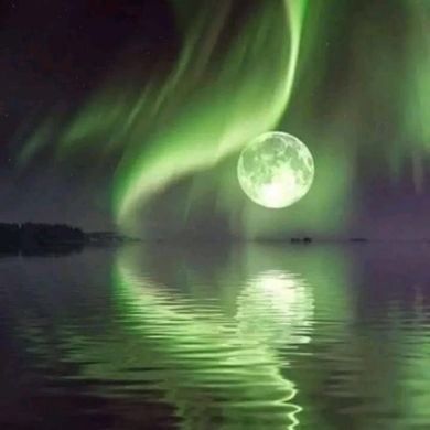 متجول لانهائي Profile Picture