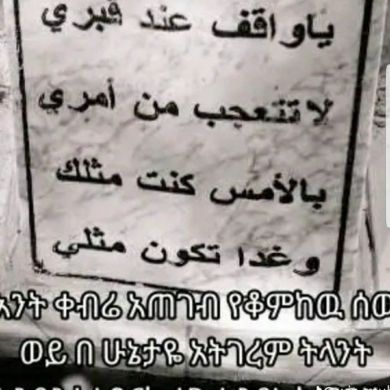 Abdulkadir mohammed Profile Picture