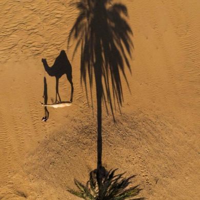 Ранас Саматов