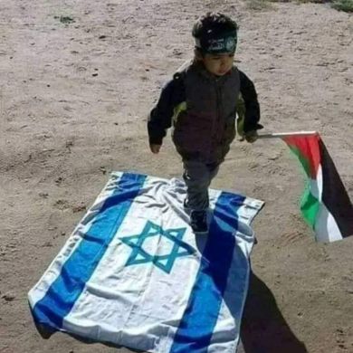 Ahmed Seyid profile picture