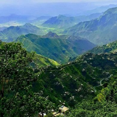 محب الصالحين Profile Picture