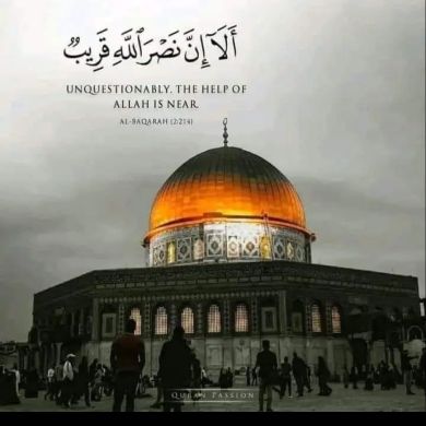 Alfaty Alfaty Profile Picture