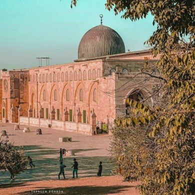 ikram seid Profile Picture