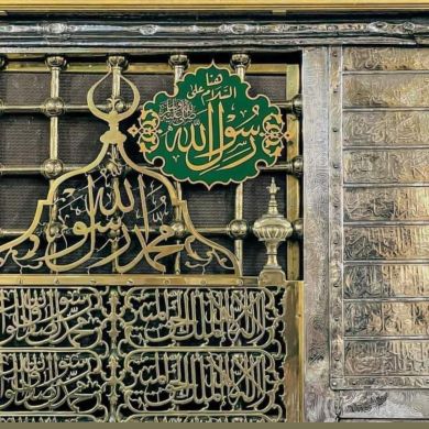 إسلام حمدي أمين Profile Picture