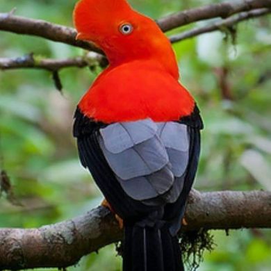 አብድልከርም በድሩ ሙሀመድ