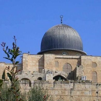 بسمة بن صالح