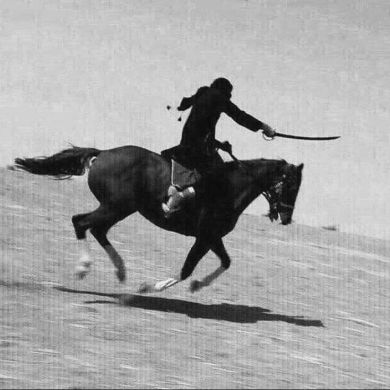 Ahmed Khdrawy Profile Picture