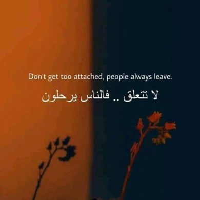 toyiba seid Profile Picture