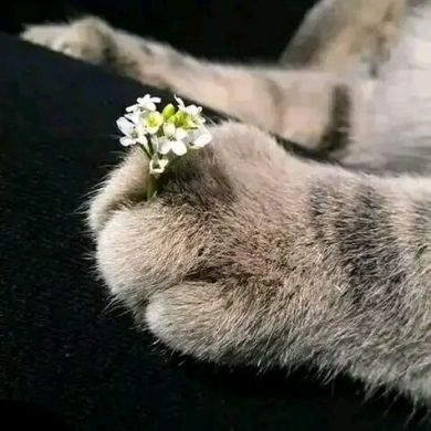 سين أم عمران Profile Picture