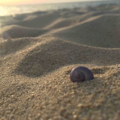 عائشة دُرَّة