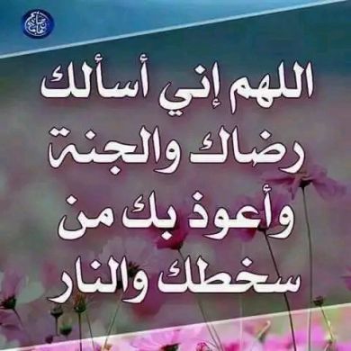 Zeine Nesradin Profile Picture