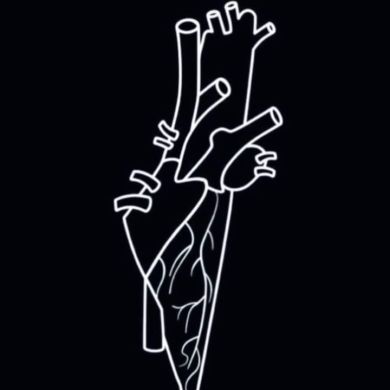 Ferial YAHIAOUI Profile Picture