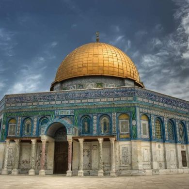 أحمد عادل دغش profile picture