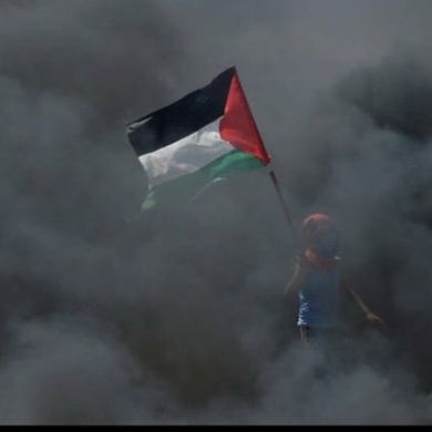 Hayfa Mohammed Profile Picture