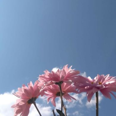 سماح بالمقطوف