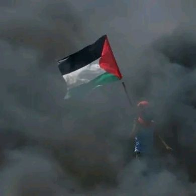 Seid Hassen Profile Picture