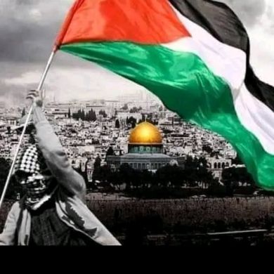 El sayed Ahmed Profile Picture