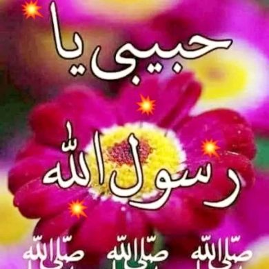 Musab_tahir Wako Profile Picture