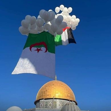 selma Profile Picture