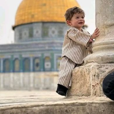 ilhem djouhazi Profile Picture