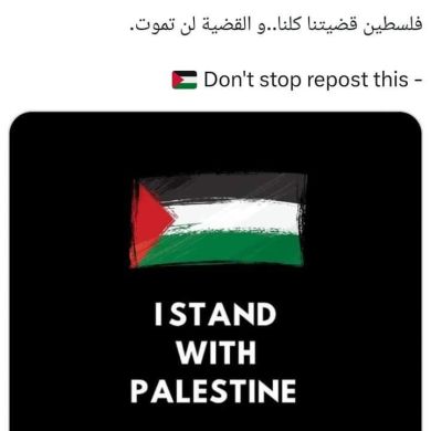 Sanaa Lebtaimi Profile Picture