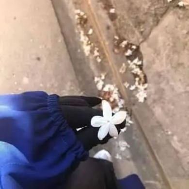 طويلبة علم شرعي