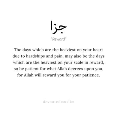 Mohammed Eshetu Profile Picture