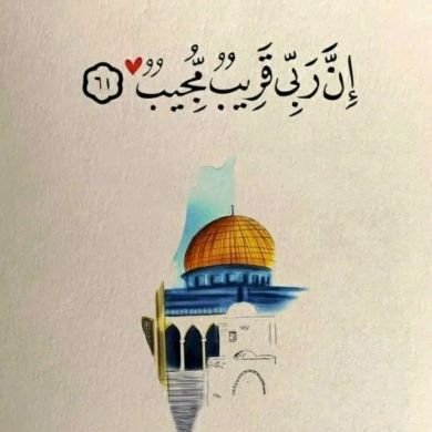 Idris Mhd Profile Picture