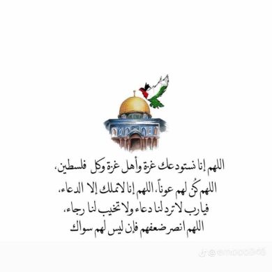 Rania Hussein Profile Picture