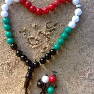 hafidha ennouri Profile Picture