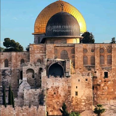 Mohammed Yimer Profile Picture