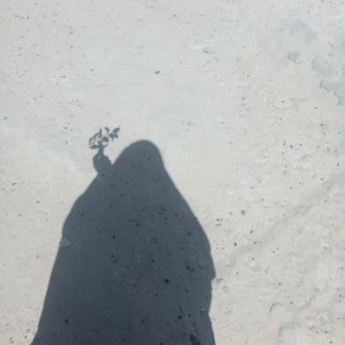 أسماء أم هاجر