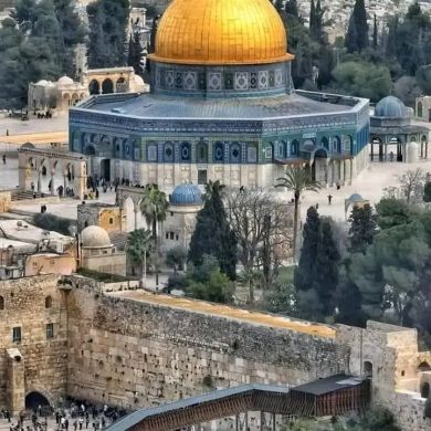 Salim Nigussie Profile Picture