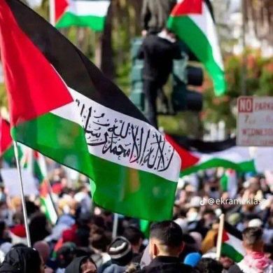 muaz dafis Profile Picture