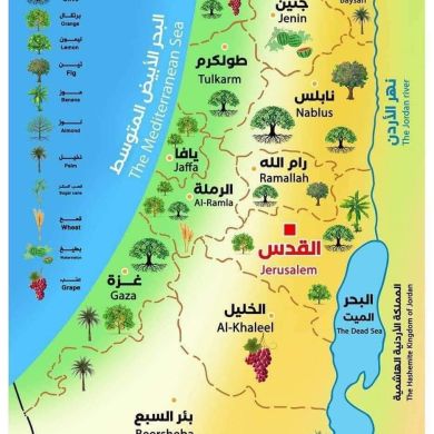 abderrahim Profile Picture