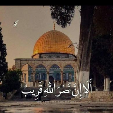 Fatma Soltan Profile Picture