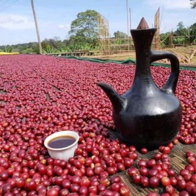 Murade Hassen Profile Picture