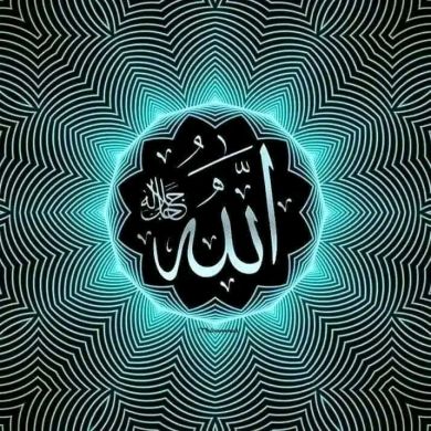 wizo1 Profile Picture